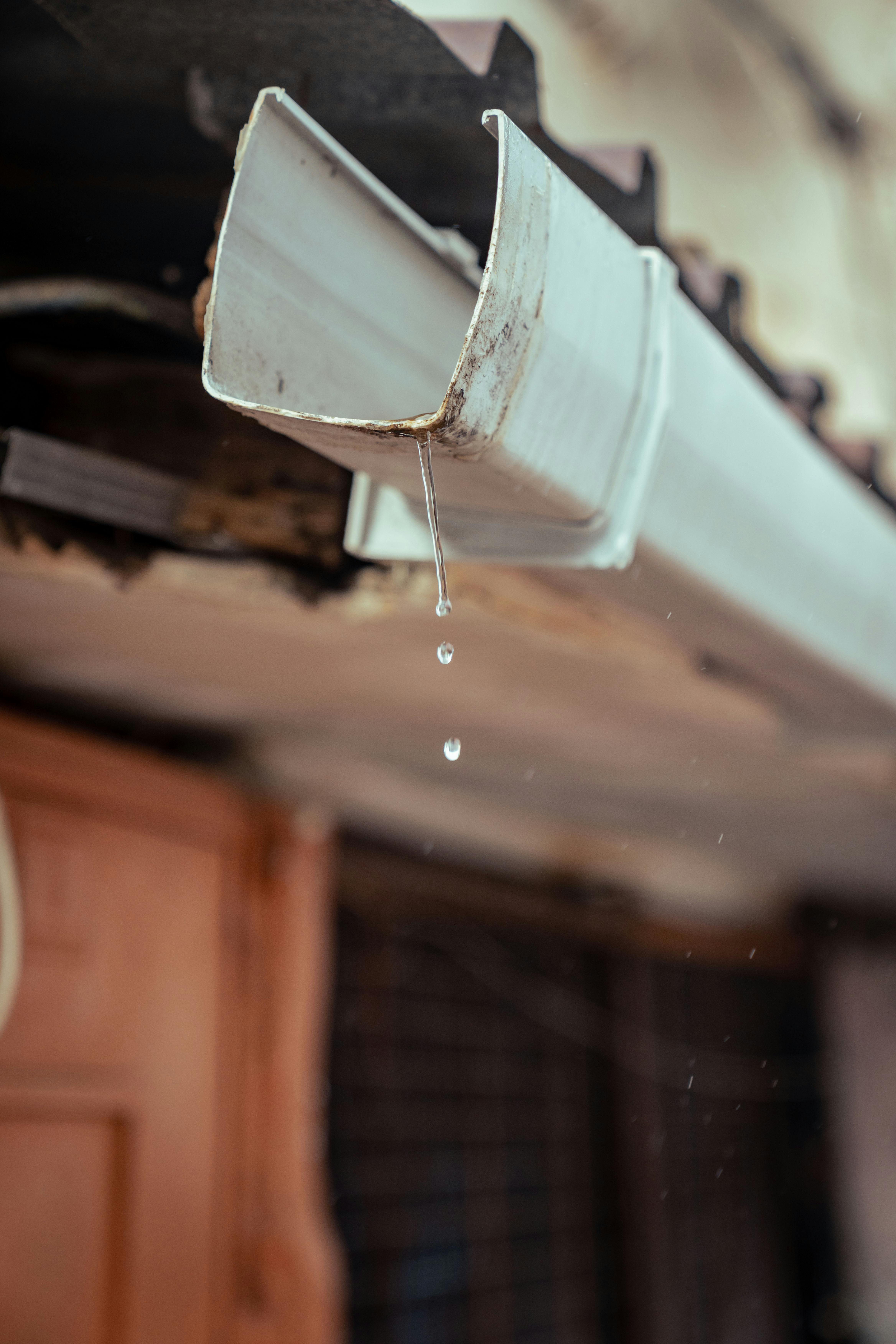 Roof gutter and downpipe detail
