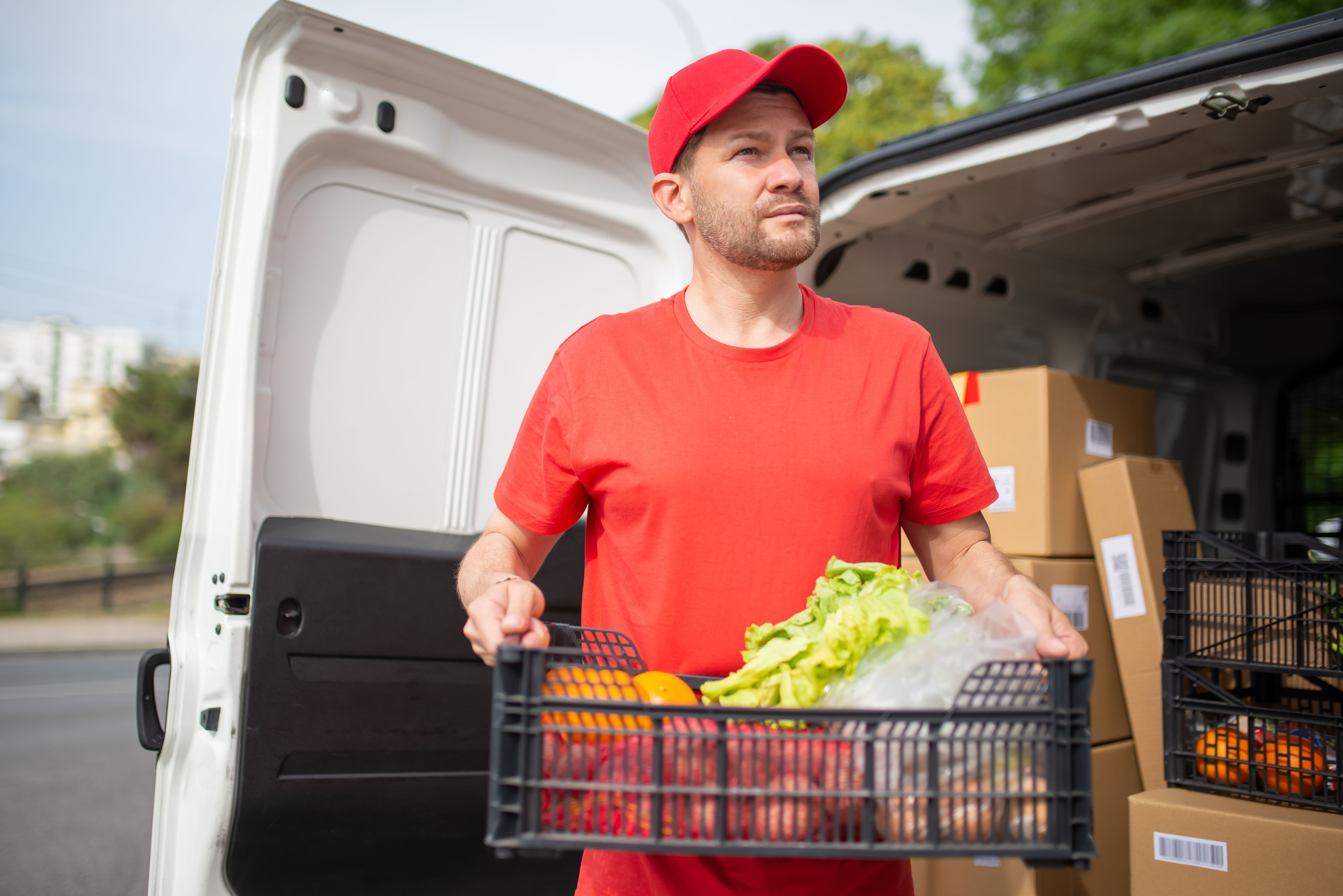 Fresh produce being packed into delivery boxes