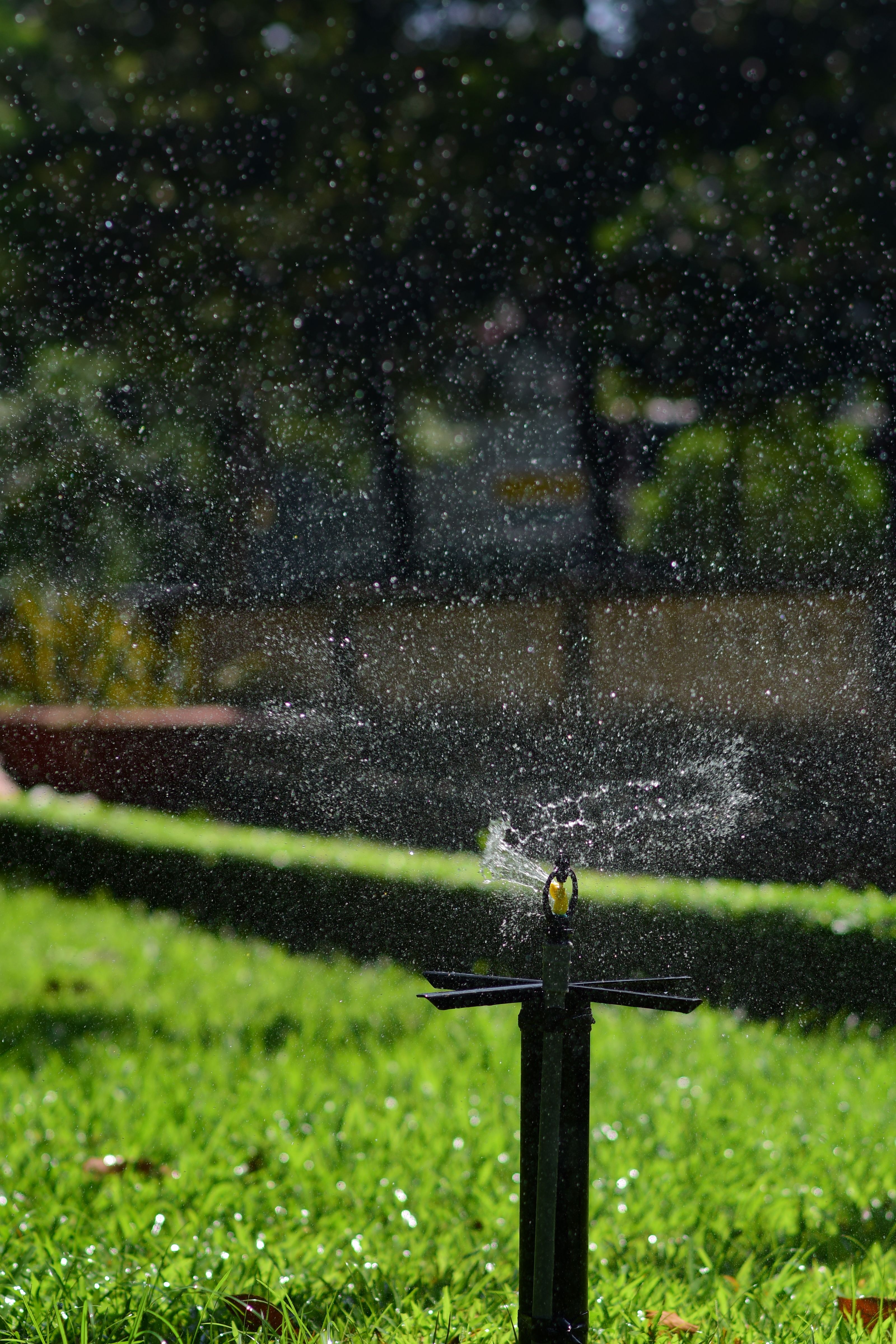 Residential garden sprinkler system in use
